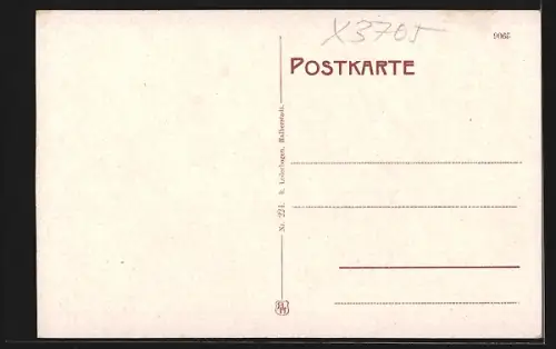 AK Ilsenburg / Harz, Gesamtansicht