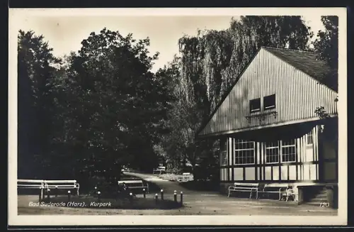 AK Bad Suderode /Harz, Im Kurpark
