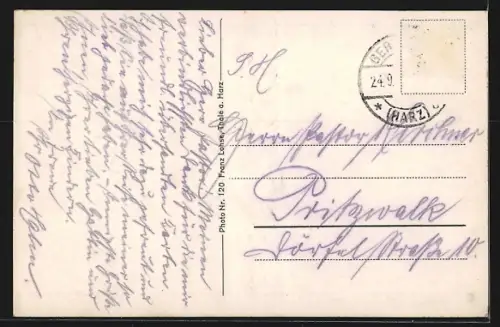 AK Bad Suderode /Harz, Im Kurpark