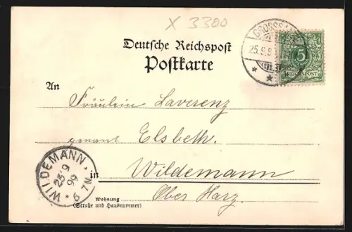 AK Bad Elmen, Alleeblick zum Kurhaus