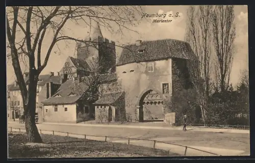 AK Naumburg a. S., Blick zum Marientor