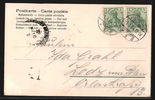 AK Hamburg-Neustadt, Möven auf der Alster