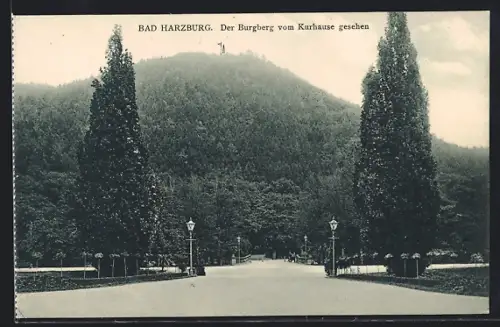 AK Bad Harzburg, Burgberg vom Kurhause gesehen