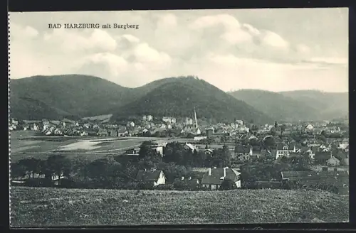 AK Bad Harzburg, Panorama