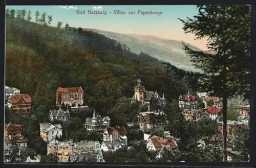 AK Bad Harzburg, Villen am Papenberge