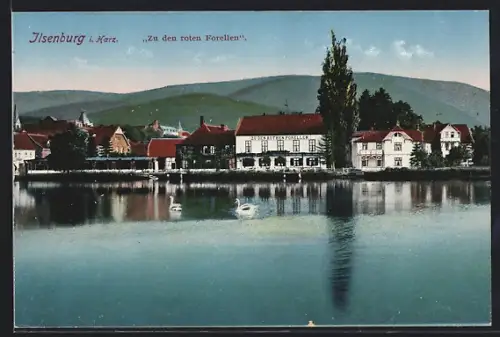 AK Ilsenburg /Harz, Gasthaus Zu den roten Forellen