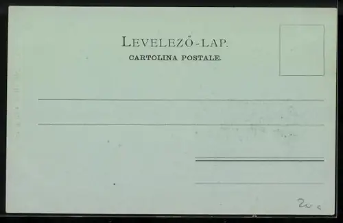 Mondschein-AK Fiume, Totalansicht