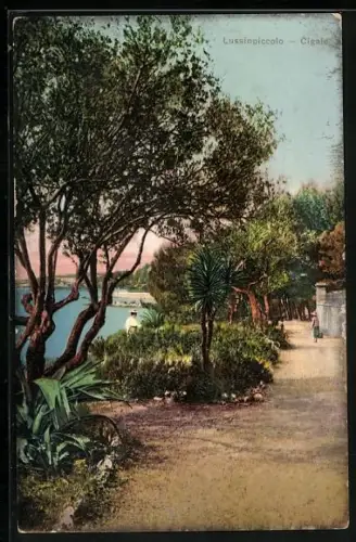 AK Lussinpiccolo, Cigale