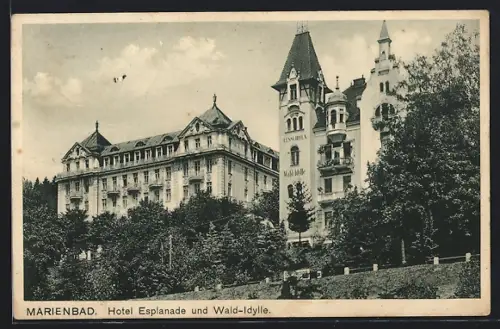 AK Marienbad, Hotel Esplanade und Wald-Idylle
