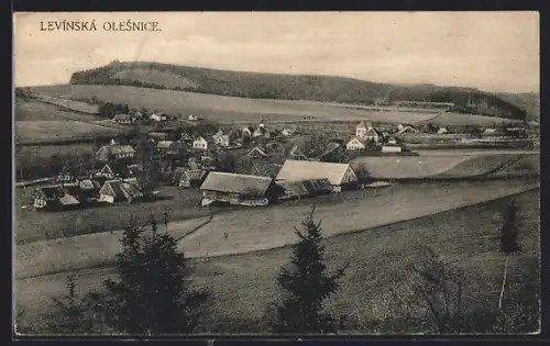 AK Levínská Olesnice, Panorama