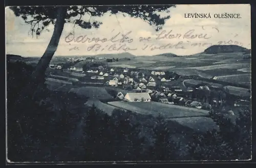 AK Levínská Olesnice, Panorama