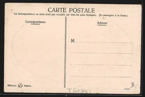 AK Constantinople, Vue Panoramique du Port et du Bosphore