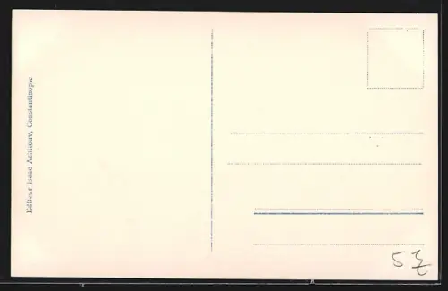 AK Constantinople, Vue panoramique de Péra et de Gaiate