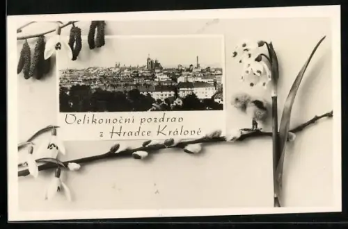 Passepartout-AK Königgrätz / Hradec Kralove, Panorama
