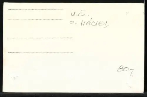 AK Ratiborice, Zamek