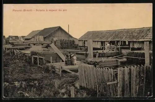 AK Paraná, Scierie à vapeur du pin
