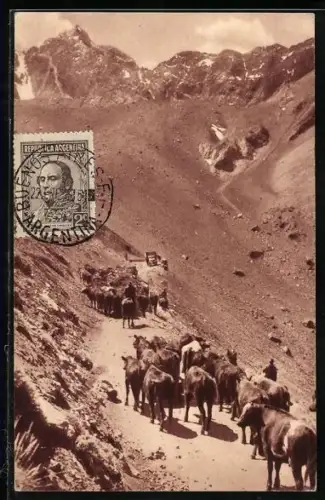 AK Paramillo de Cuevas, Arriando ganado en pic