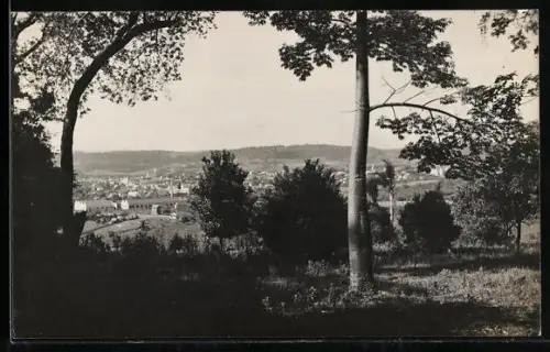 AK Santa Cruz, Vista General