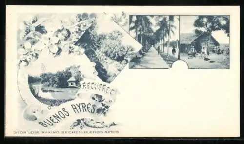 AK Buenos Aires, Parkanlage und Strassenpartie