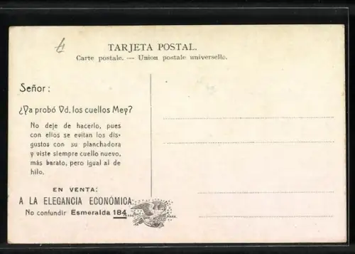 AK Puerto Blest, Vista General en el lago Nahuel Huapi