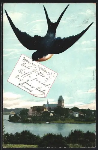 AK Ratzeburg i. L., Dom mit Uferpartie, Schwalbe mit Brief