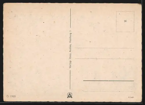 AK Oldenburg i. O., Partie in der Langestrasse