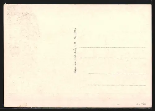 AK Oldenburg i. O., In der Langestrasse