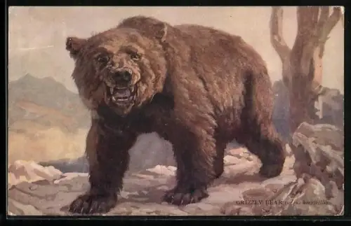 Künstler-AK Grizzly Bär in den Bergen