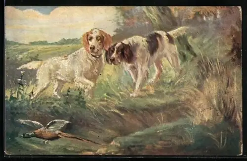 AK Jagdeinladung, Jagdhunde haben Fasan aufgespürt