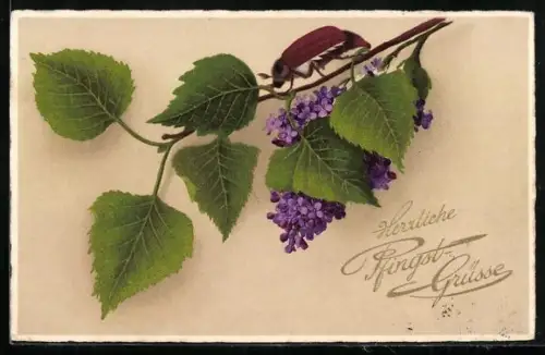 Künstler-AK Maikäfer, Birken- und Fliederzweig, Pfingstgruss