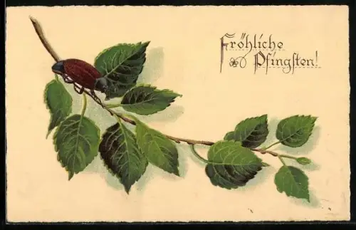 Künstler-AK Pfingstgruss, Maikäfer im Birkenlaub