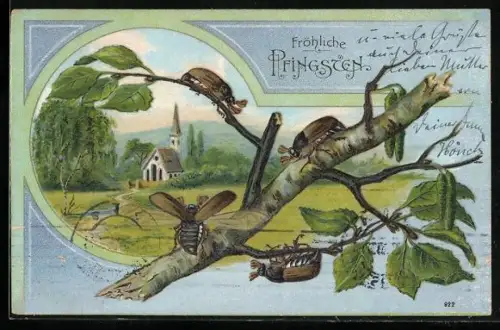 AK Pfingstgruss, Maikäfer auf Birkenast