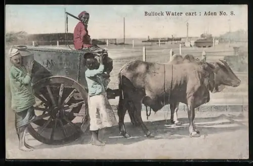 AK Aden, Bullock Water Cart, Rindergespann