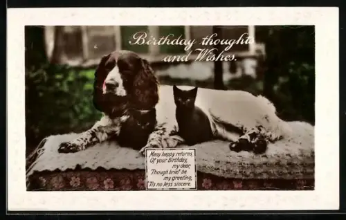 AK Hund und Katze auf einer Decke