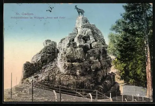 AK St. Gallen, Steinbockfelsen im Wildpark Peter u. Paul