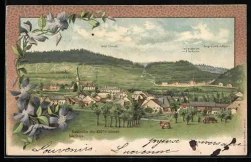 AK Hauteville, Vue générale