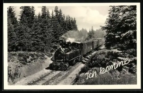 AK Waldpartie mit Eisenbahn