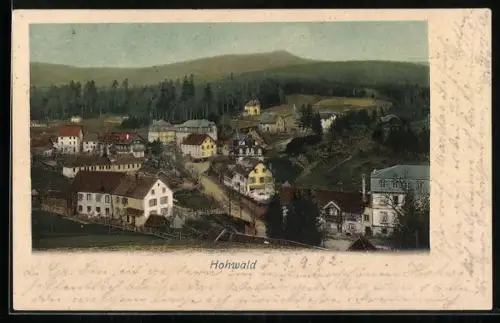 AK Neustadt, Heilstätte Hohwald