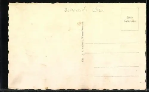 AK Wr. Neustadt, Platz mit Notariat, Marktstände am Markttag