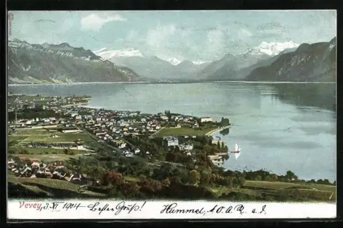 AK Vevey, Panorama