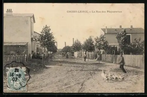 AK Choisy-le-Roi, La Rue des Pâquerettes