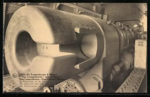 AK Piece du Leugenboom a Moere, Le Mecanisme, vu de droite