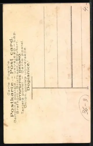 AK Und sie flog in seine Arme..., Paar mit Katze küsst sich