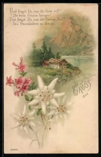 AK Edelweiss-Blüten und Hütte am Bergsee, Ansichtskartengeschichte