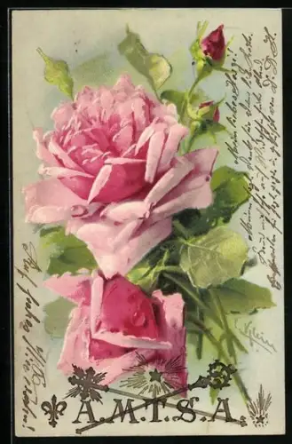 Künstler-Präge-AK Catharina Klein: rosa Rosenblüten mit Knospen