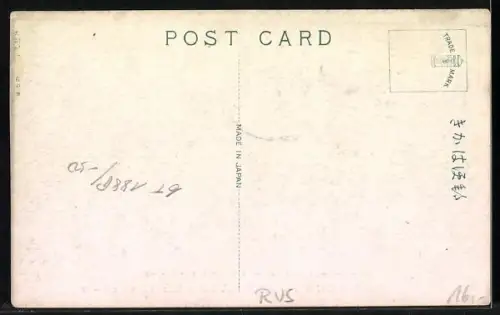 AK Vladivostok, Peace Commemoration Day, 1st July 1919