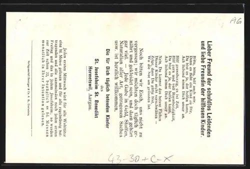 AK Hermetschwil, /Aargau, St. Josefsheim St. Benedikt, Kinder beim Besen binden