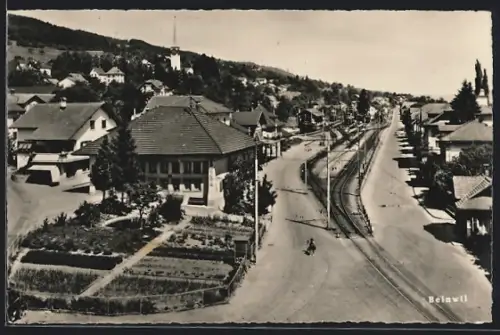 AK Beinwil am See, Ortsansicht mit Bahnhof