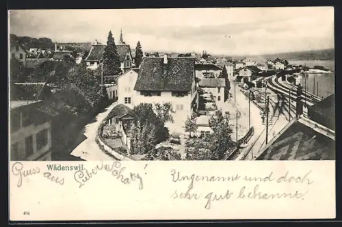 AK Wädenswil, Ortsansicht mit Bahnhof