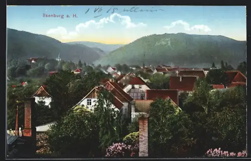 AK Ilsenburg a. H., Ortspartie aus der Vogelschau